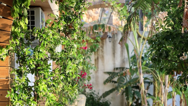 A wooden deck with potted plants and a pathway leading to a building. - Villa Green Garden (Sarandë)