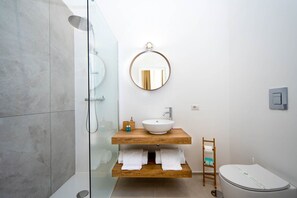 Shower, hair dryer, bidet, towels