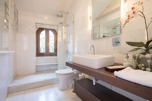 Shower, hair dryer, bidet, towels