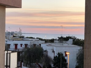 Vistas desde la habitación