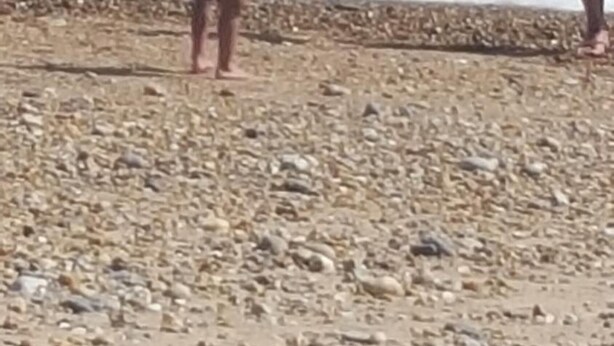 Una playa de guijarros con un niño y un adulto.