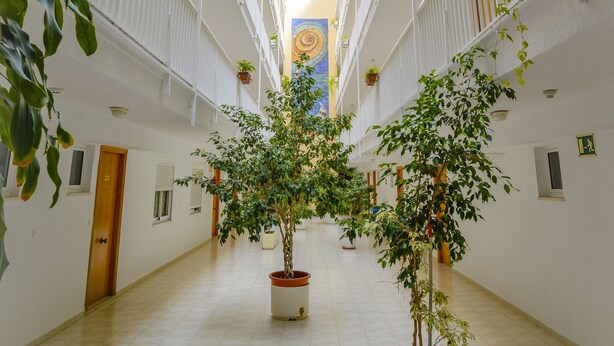 Courtyard - Avenida Apartamentos (Benidorm)