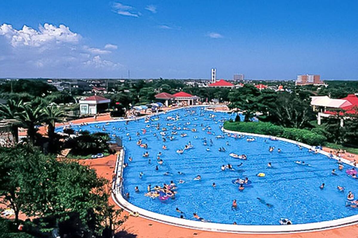 Hồ bơi