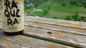 Une bouteille de bière DouGall posée sur un banc en bois, avec une vue panoramique sur une vallée verdoyante et des montagnes en arrière-plan.
