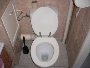 Combined shower/tub, towels, toilet paper - Beautiful apartment, chic and sober (Rouen)