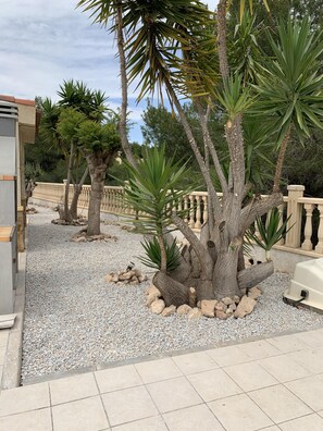 Áreas de la propiedad