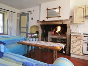 Televisión, chimenea, reproductor de DVD y tenis de mesa 