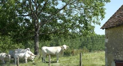 Charmante longÚre 18Úme siÚcle avec jardin, animaux acceptés