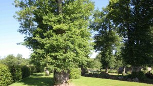 A well-maintained grassy area with mature trees and a stone wall. - Cottage with pool and wifi in Ste Honorine (Sainte-Honorine-la-Guillaume)
