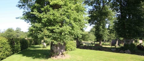 Boendeområde