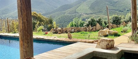 Outdoor pool, sun loungers