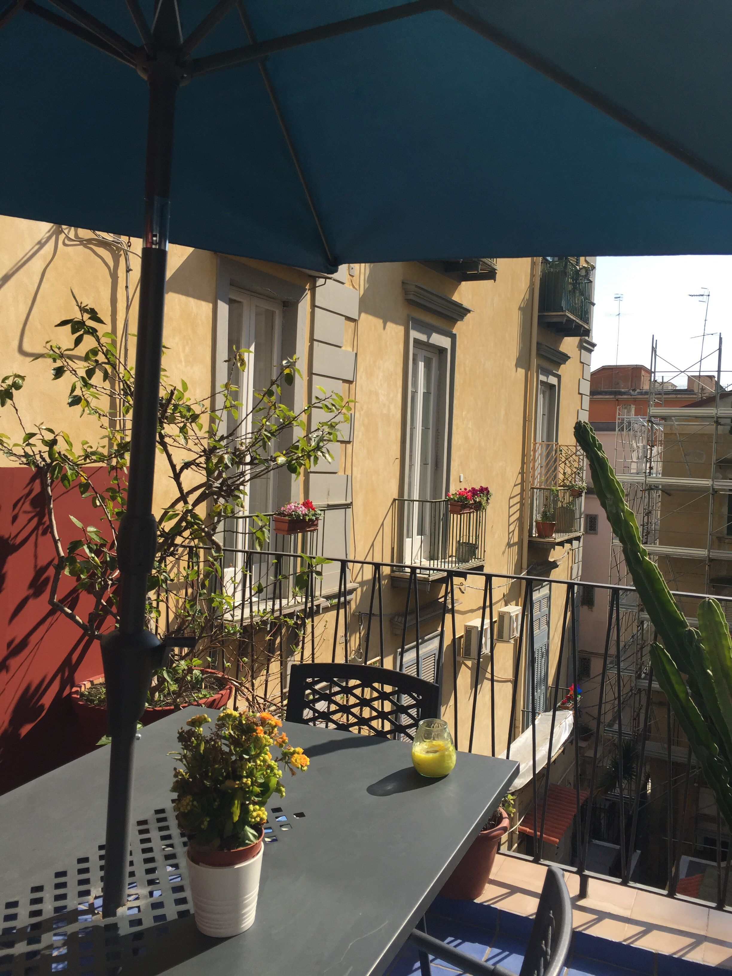 A balcony with a table, chairs, a potted plant, and an umbrella.