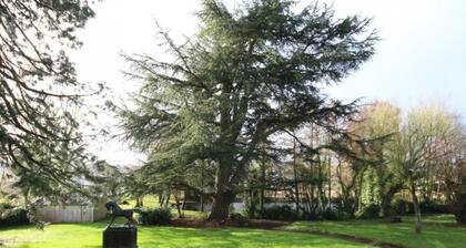 Maison bourgeoise avec grand parc, proche centre ville, idéale pour groupes