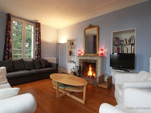 TV, fireplace, ping pong