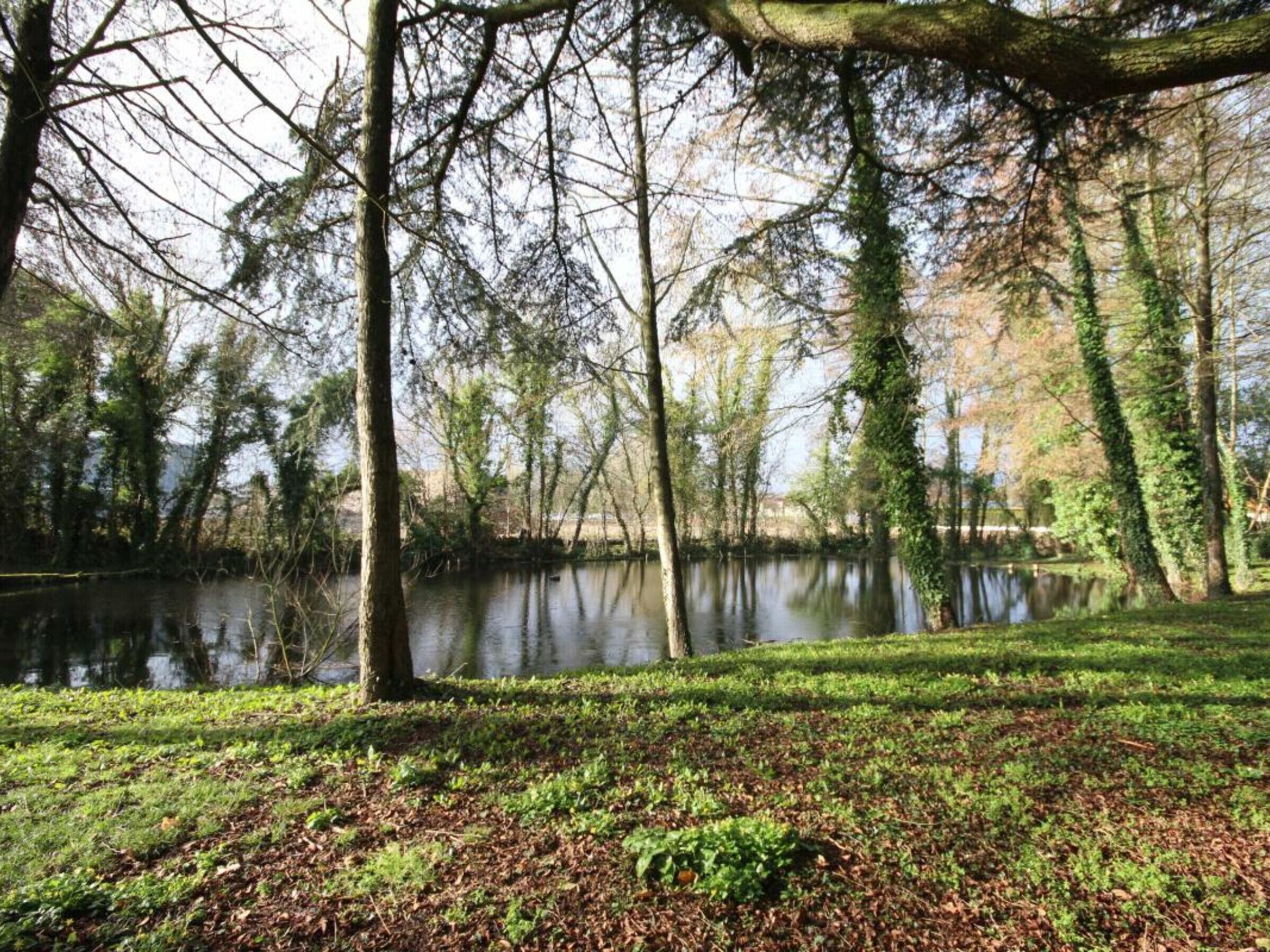 A serene park with a pond, surrounded by trees and grassy areas.