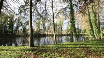 A serene park with a pond, surrounded by trees and grassy areas.