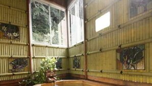 Un onsen japonais traditionnel, avec un intérieur en bois, un bain d’eau chaude et des murs en bambou.