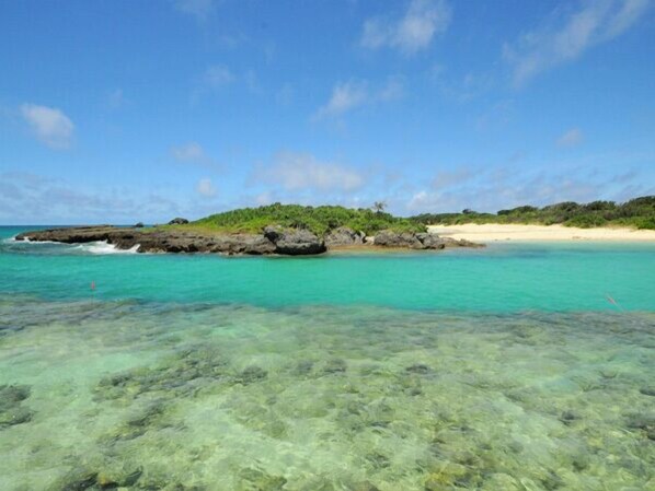 Une mer d’un bleu turquoise éclatant, une plage de sable et un promontoire rocheux couvert de végétation.