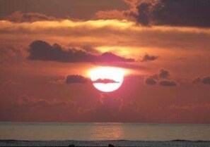 Beach - Hotel Thidanosato <irabujima> (Miyakojima)