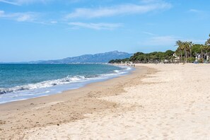 Une plage avec un rivage sablonneux, une mer calme et une rangée d’arbres en arrière-plan.