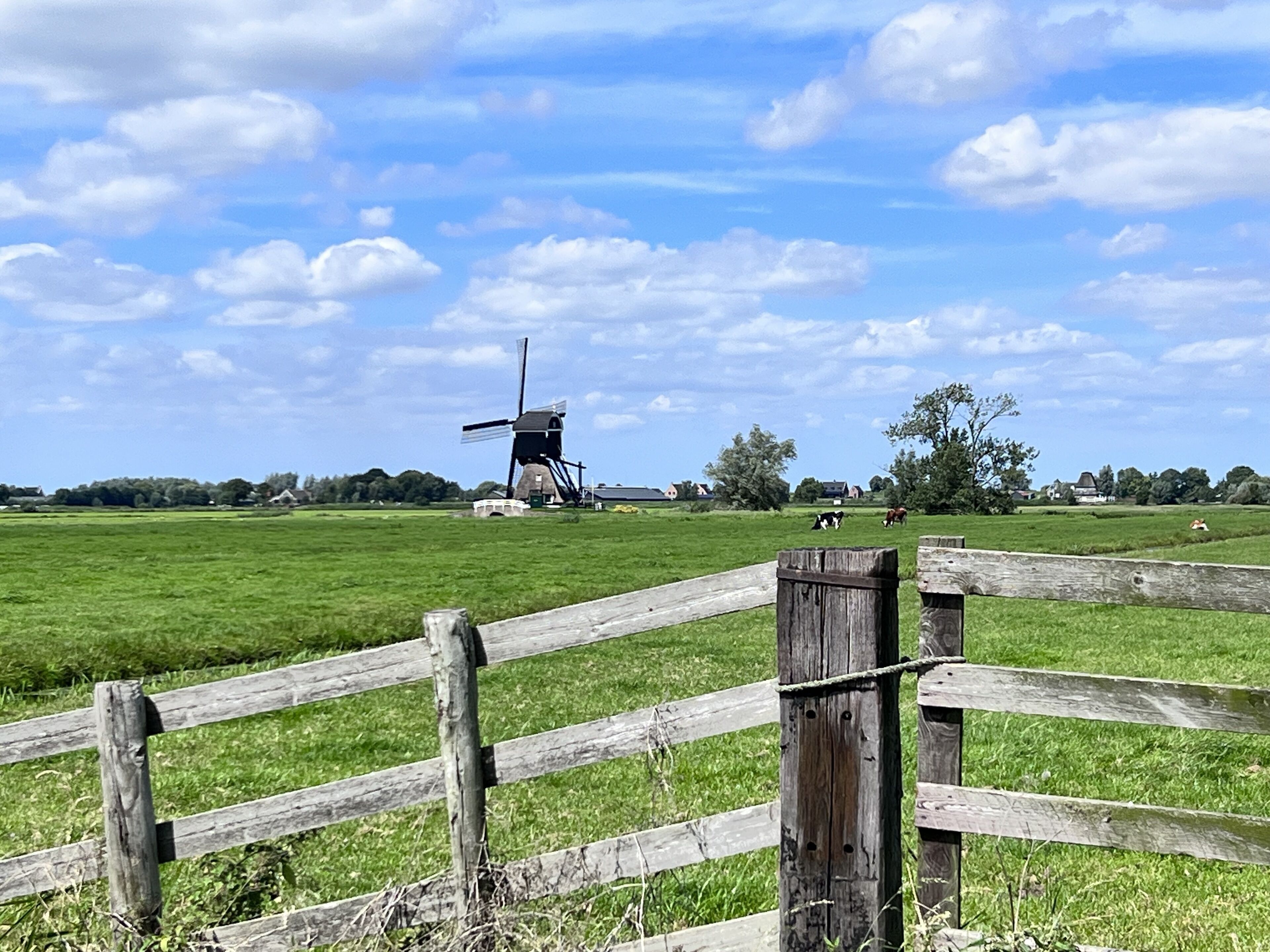 Foto - Gastenverblijf Rodenburg