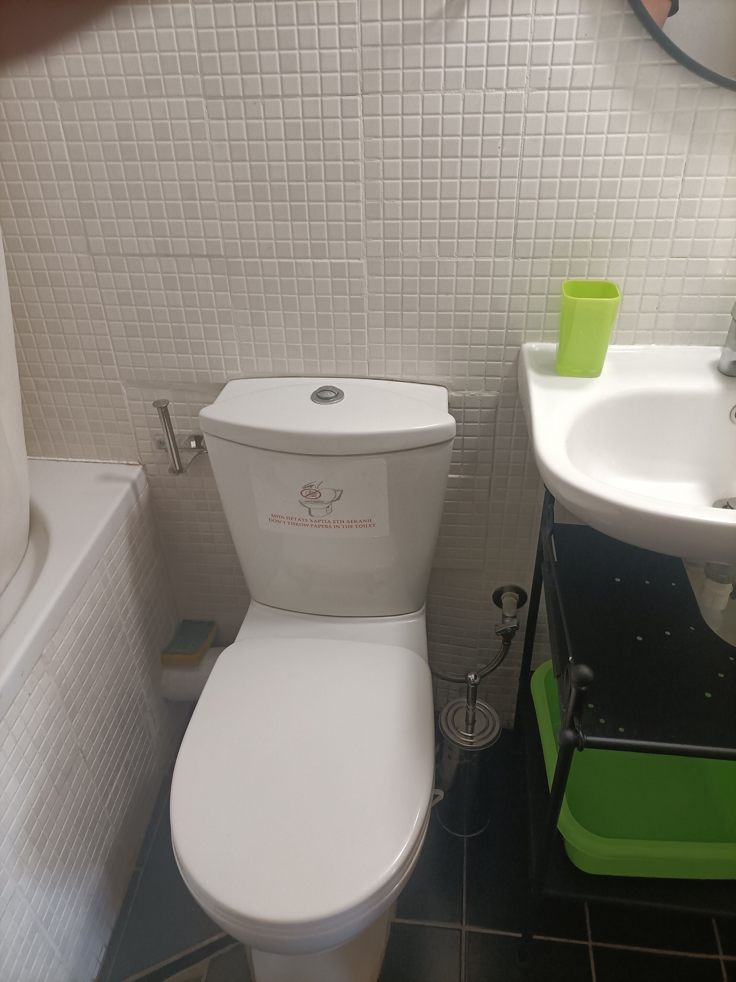 A bathroom with a toilet, a sink, and a green trash bin.