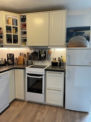 Kühlschrank, Mikrowelle, Ofen, Herdplatte