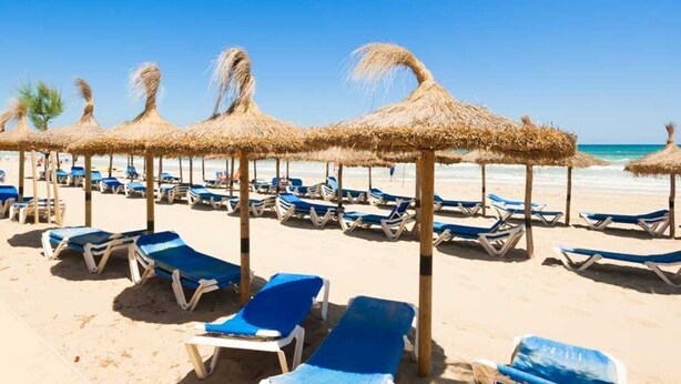 Ein Strand mit Reihen blauer Liegestühle und Reetdachschirme.