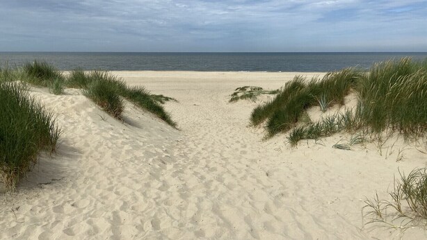A sandy beach with dunes and a clear view of the ocean. - CS 48 - Callassande Vacation Park (Callantsoog)