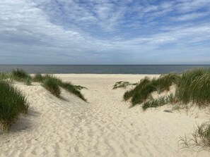 Playa en los alrededores