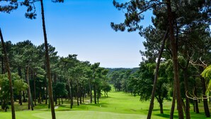 A golf course with a clear path, surrounded by tall trees and a clear sky. - Cottage 40 Beach Golf Surf (Moliets-et-Maa)