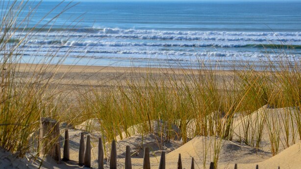 A beach with sand dunes and grass in the foreground, leading to the ocean. - Cottage 40 Beach Golf Surf (Moliets-et-Maa)