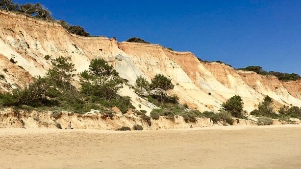 Una playa con arena y un acantilado con vegetación escasa.