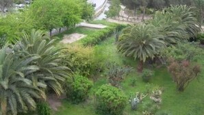 A lush green garden with palm trees and various shrubs. - Duplex with 3 rooms in a quiet neighbourhood (Var)