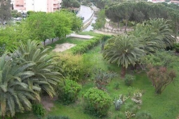 Un exuberante jardín verde con palmeras y diferentes arbustos.