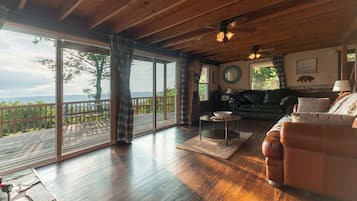 Caminetto, lettore DVD