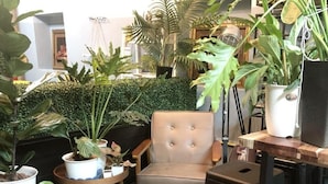 Une pièce comprenant un fauteuil capitonné, des plantes en pot et une petite table.