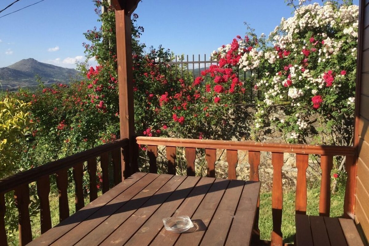 Una terraza de madera con una mesa y sillas, rodeada de diversas plantas con flores.