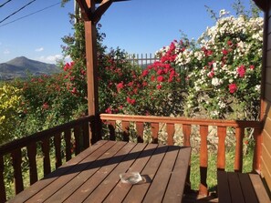 Bungalow, 2 Schlafzimmer, Terrasse | Terrasse/Patio