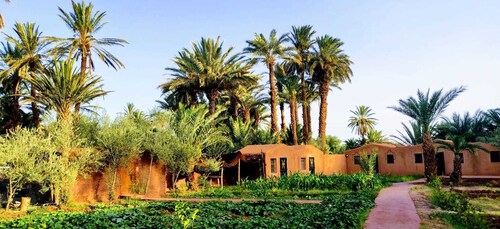 Bivouac Lot Of Stars