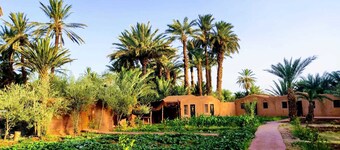 Bivouac Lot Of Stars