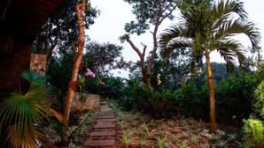 A garden pathway with stone steps surrounded by various tropical plants and trees. - Villa Puerto Nuevo (Búzios)
