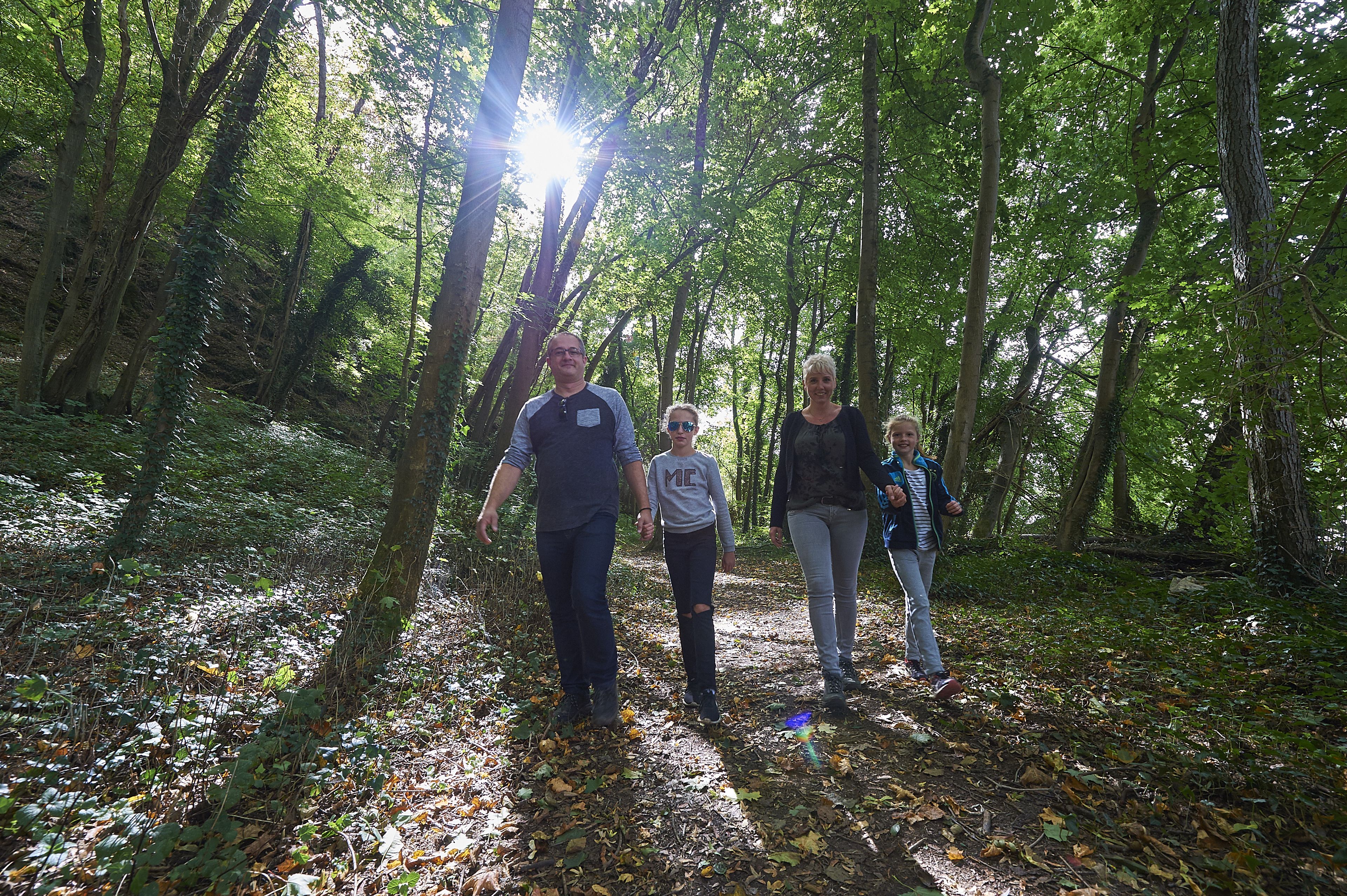 A group of people walking on a forest path.
