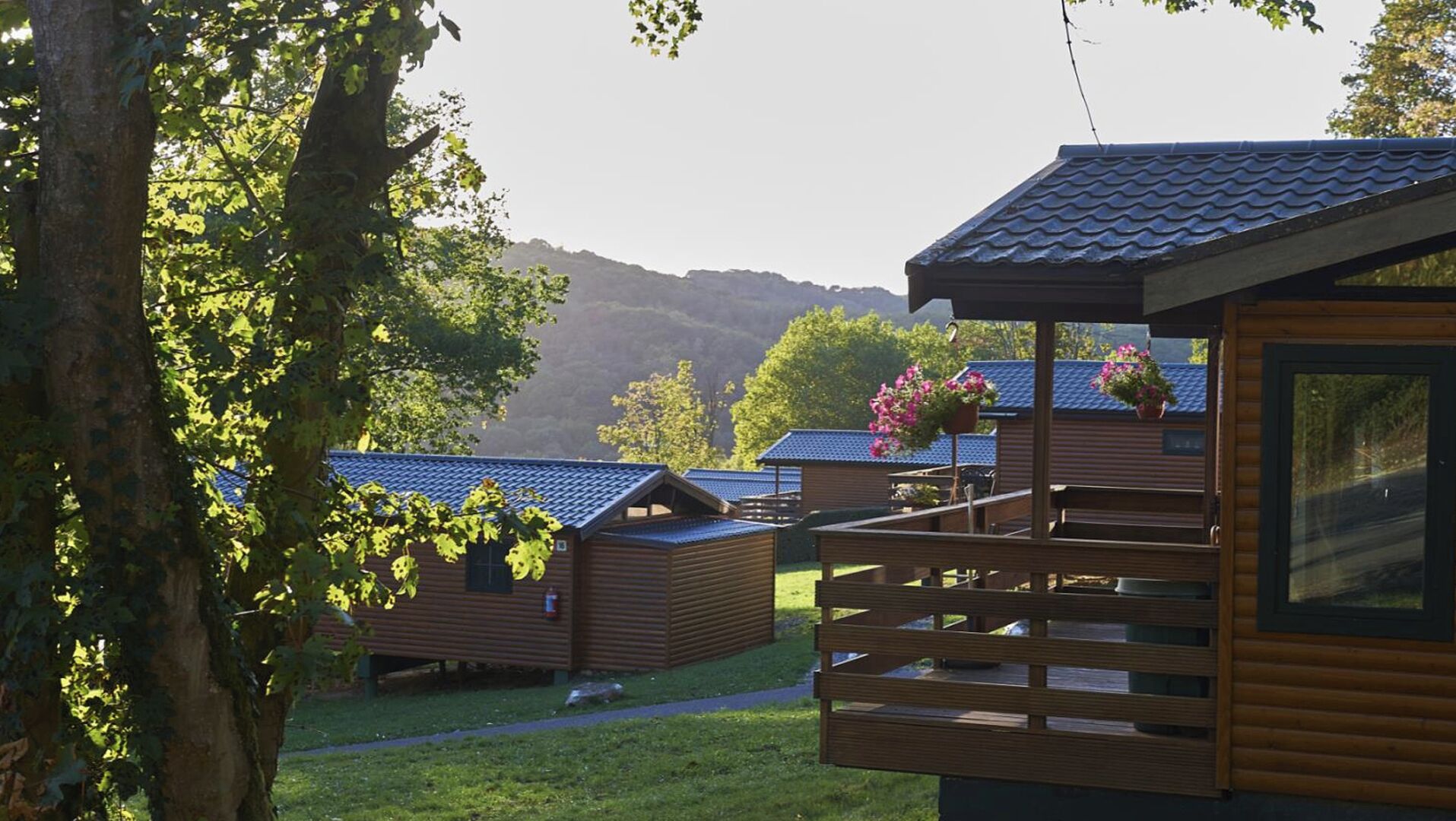 A row of wooden cabins with a balcony, surrounded by trees and a mountainous backdrop.