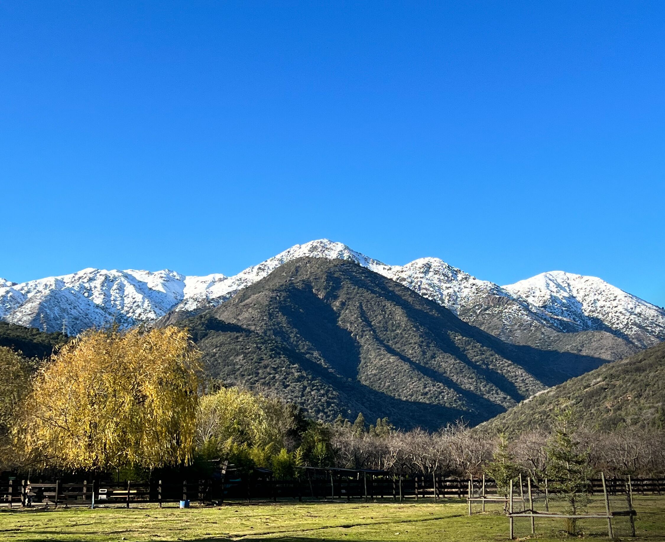 Paisaje montañoso con picos nevados, cielo azul despejado y primer plano con césped, árboles y una cerca.