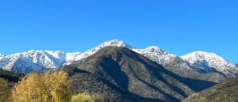 Paisaje montañoso con picos nevados, cielo azul despejado y primer plano con césped, árboles y una cerca.