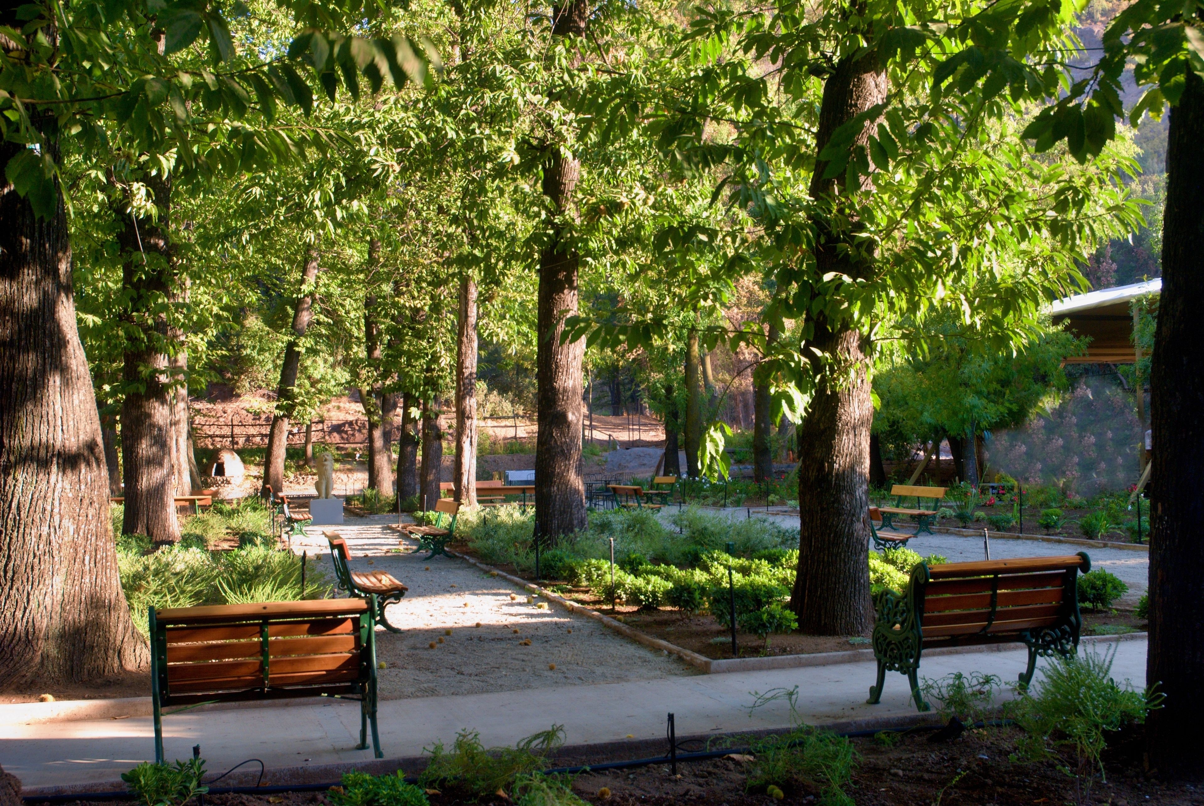 A park with benches and trees.