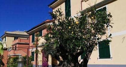 Uusi asunto ja terassi - Uudisrakentaminen