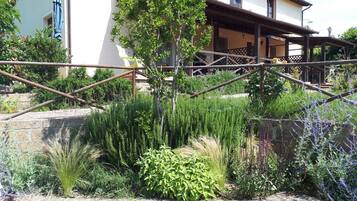 Terrein van de accommodatie