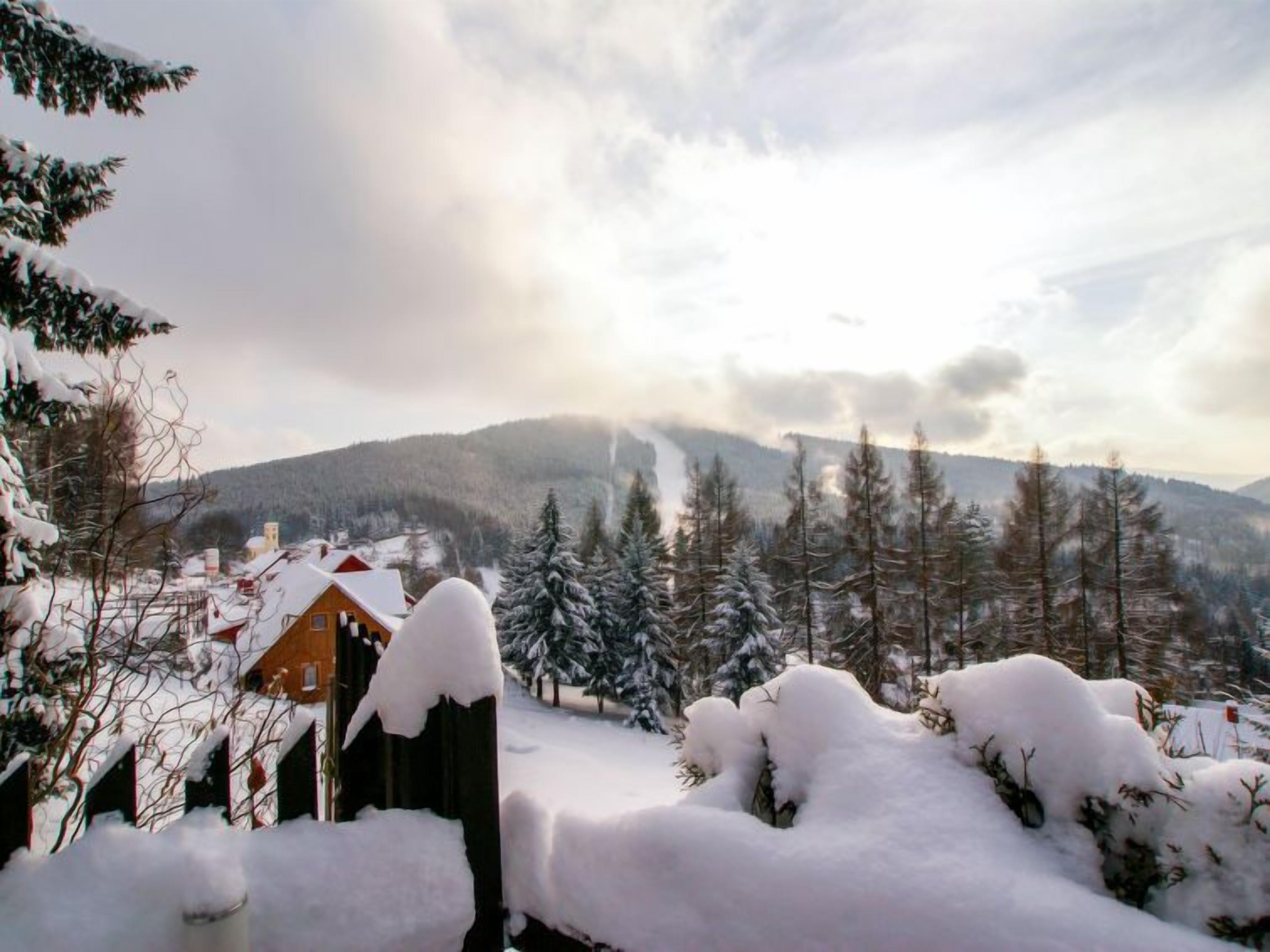 A snow-covered landscape with a wooden cabin and a mountain in the background.